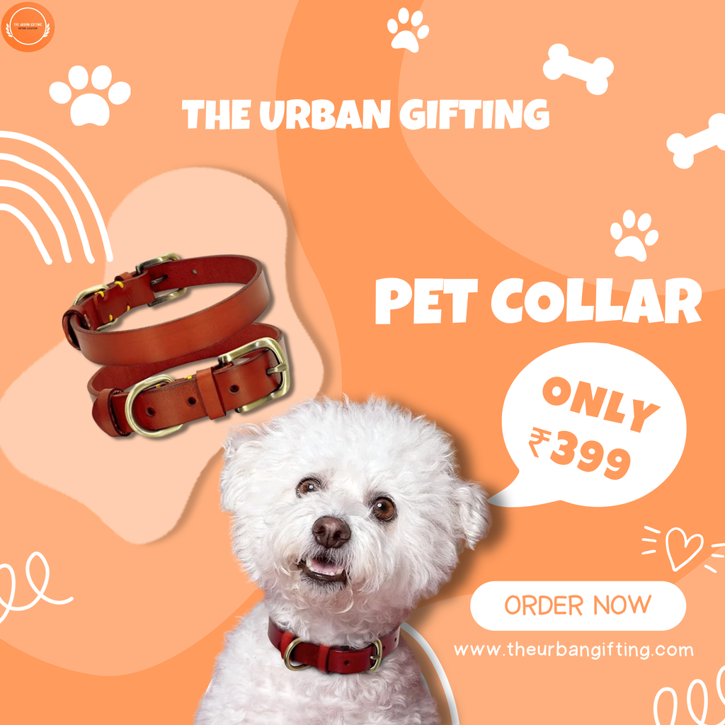 Leather Dog Collar's